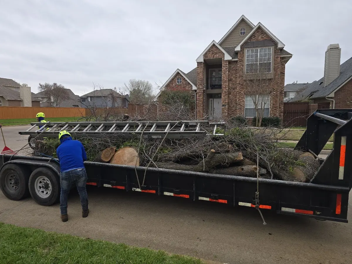 Expert Tree Pest Control with proper safety equipment in Kingstree